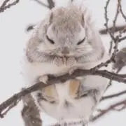 茶々【断捨離中】の画像