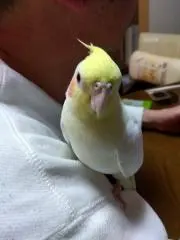 ひなたさんの画像