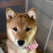 ☆kotaプロフ必読☆