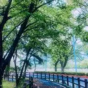 ねちゃんの画像
