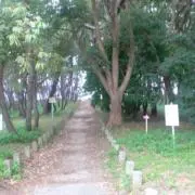 シャリの画像
