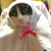 なお