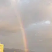 にゃんの画像
