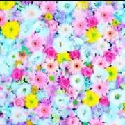 ☆ハルママ☆の画像