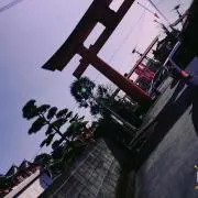 はげちゃびん