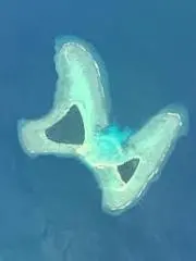 河野