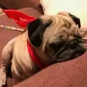 もんたママの画像
