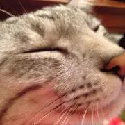 あさひ
