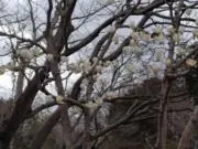 まさとしの画像