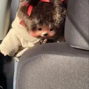 ヒトカゲの画像