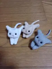 Wの画像