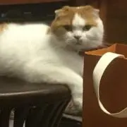 まろん