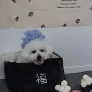 ayakaの画像