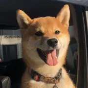 MIUの画像
