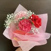 Feteの画像
