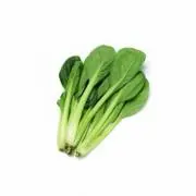 野菜の画像