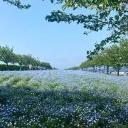'ᴗ' 断捨離中 プロフ必読の画像