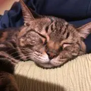 あと