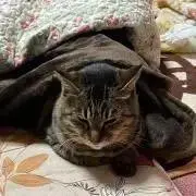 りょう☆プロフ説明必読の画像