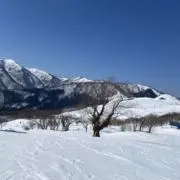 といの画像