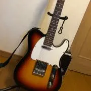 プラムの画像