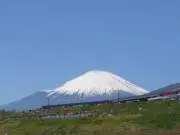 hachiの画像
