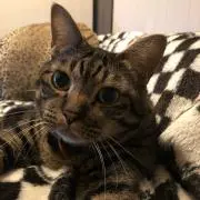 crazyjunの画像