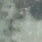 にっこちゃん