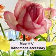 Mao ❁⃘*.゜の画像