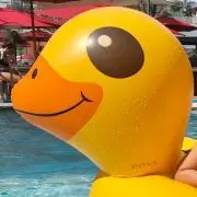 Reの画像
