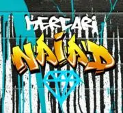( N.A.I.A.D.)の画像