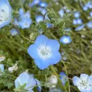 mondayの画像