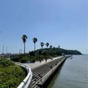 西木野