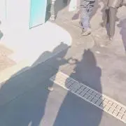 みーこ