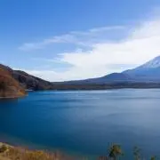 Y_nobleの画像
