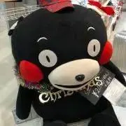 Mashaの画像