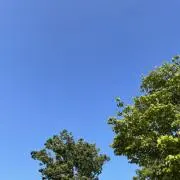 みるくの画像