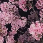 プロフ必読の画像