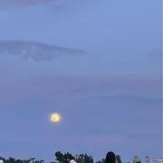 きるの画像