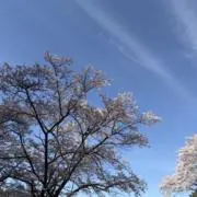 yanei｜値下げ交渉可◎の画像