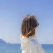 ひまわりの画像