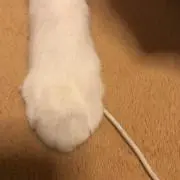むむむ
