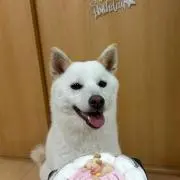 テーラーメイドゴルフ