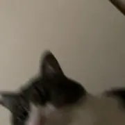 h.nの画像