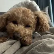 ☺︎ニコ☺︎の画像