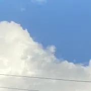 ココアの画像