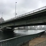 ミスターの画像