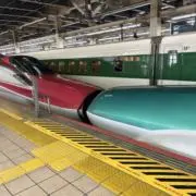 mayuge gejigejiの画像