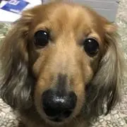 yuの画像