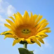 きぃちゃんの画像